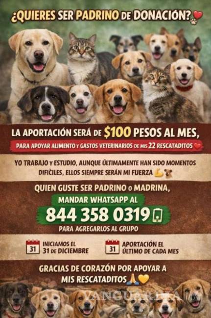 $!El colectivo Vane y Lane Rescatan lanzó una convocatoria para encontrar padrinos y madrinas que contribuyan al alimento y atención veterinaria de 21 animales rescatados.