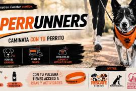 La jornada incluirá una feria de adopción, venta de comida y recolección de alimento y artículos de aseo para mascotas.