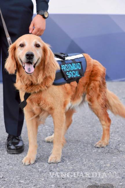 $!“Sky” está en tratamiento a causa del cáncer que le fue detectado; fue adoptada por la familia de su manejador.