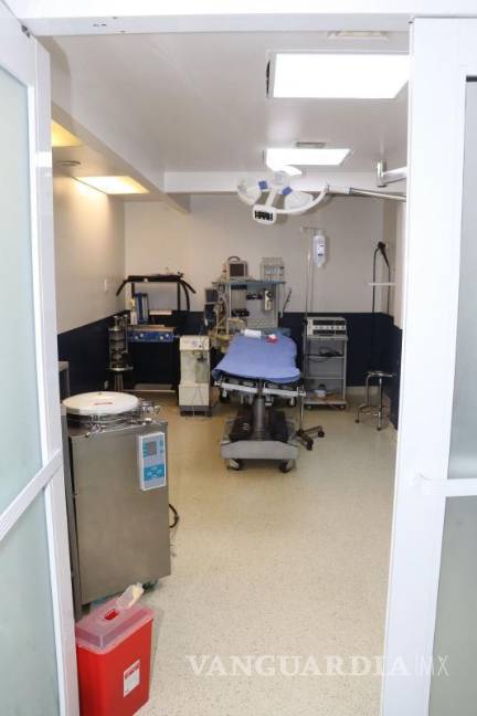 $!Fiscalía Especializada en Feminicidios encabeza las indagatorias; la Secretaría de Salud detecta irregularidades.