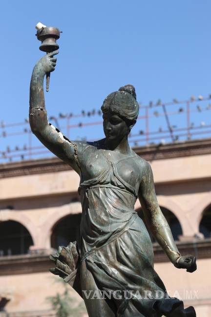 Requieren ninfas de cirugía mayor