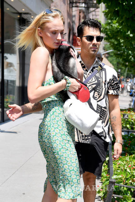 $!Sophie Turner y Joe Jonas rinden homenaje a su perro fallecido con tatuaje