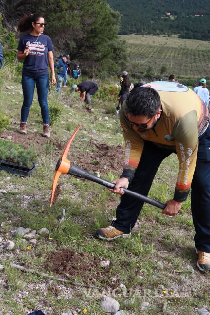 $!Colaboradores de Tupy participaron en la jornada de reforestación “Raíces de Esperanza”.