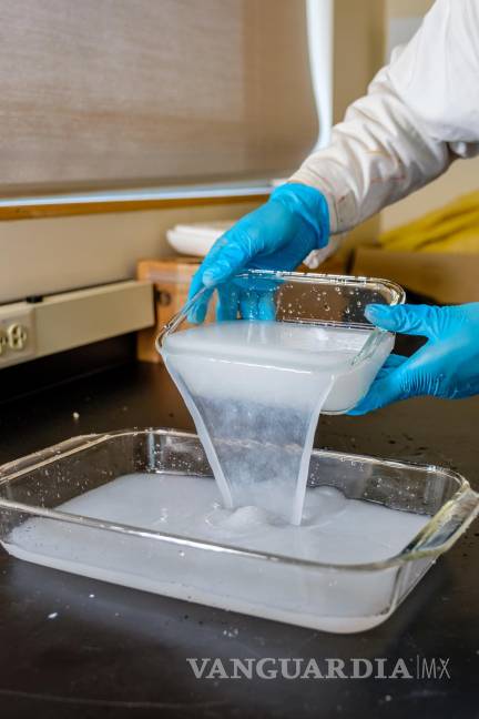 $!Un científico de la UBC vierte la mezcla básica utilizada para fabricar la película de celulosa.
