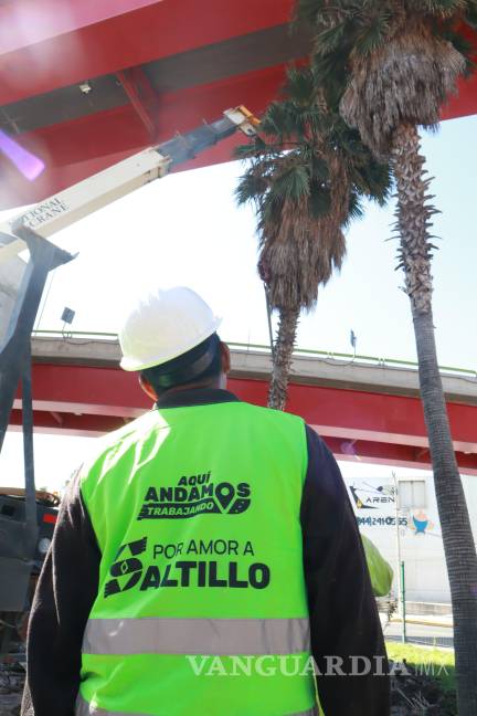 $!Los viaductos del Distribuidor El Sarape impedían que las palmas crecieran.