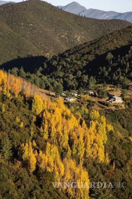 $!Excursionistas que transiten por zonas como Oyameles deben seguir nuevas recomendaciones y respetar los accesos permitidos para evitar sanciones.