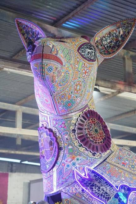 $!Fue seleccionada entre más de 750 propuestas internacionales..