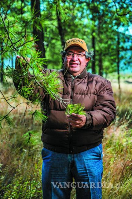 Eladio Cornejo: Desde la trinchera forestal