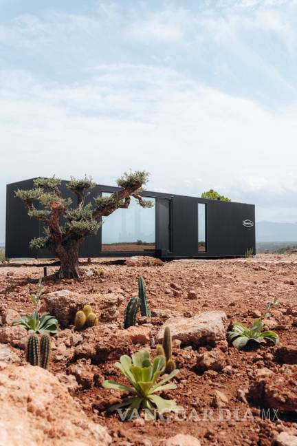 $!El District Hive en el desierto de Gorafe (Granada, España), vegetación del entorno.