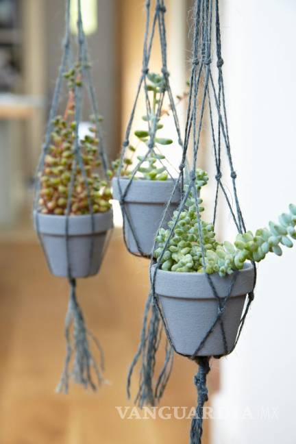 $!Algunos diseños colgantes permiten que pongas tus plantas donde más te guste con la posibilidad de que giren si corre el viento.