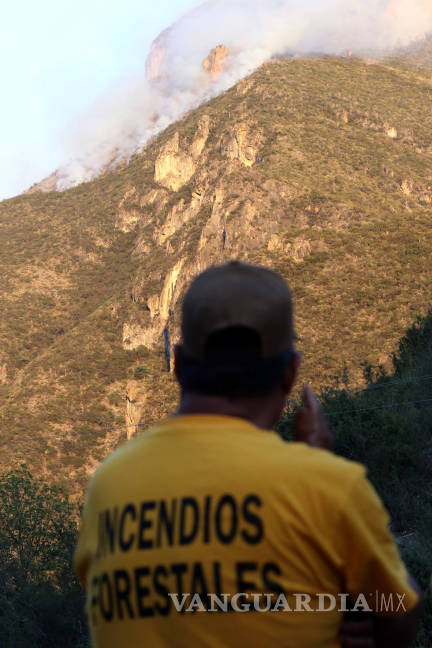 $!Incendio en Cañón de San Lorenzo: van 400 hectáreas... y todo por una fogata
