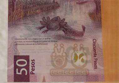 El nuevo billete de 50 pesos ya se encuentra circulando, el cual hace referencia al ajolote y a la fundación de Tenochtitlán.