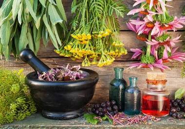 El romero y la moringa están entre las plantas más estudiadas por sus beneficios bucales.