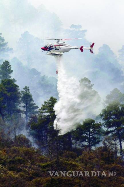 $!Incendios forestales; cada vez son más y sin recursos, aunque organizaciones ponen su ‘granito de arena’, hace falta más