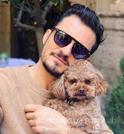 $!Tras buscarlo por siete días, Orlando Bloom declara que su perro Mighty falleció