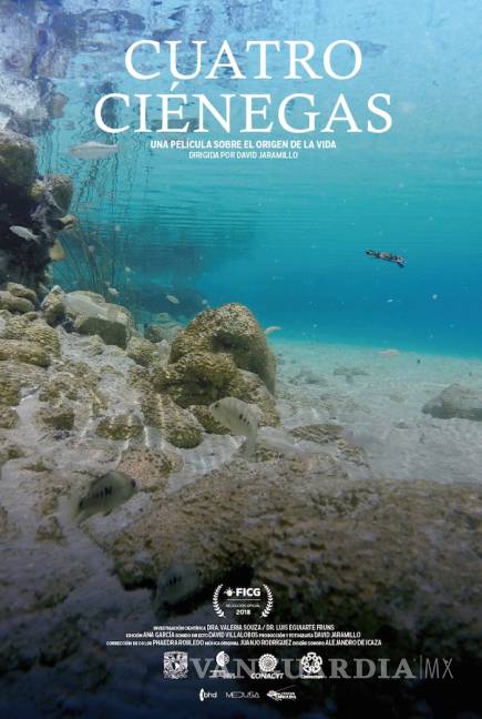 $!Cuatro Ciénegas, es un documental que muestra las maravillas de esté oasis y lanza la advertencia de preservarlo