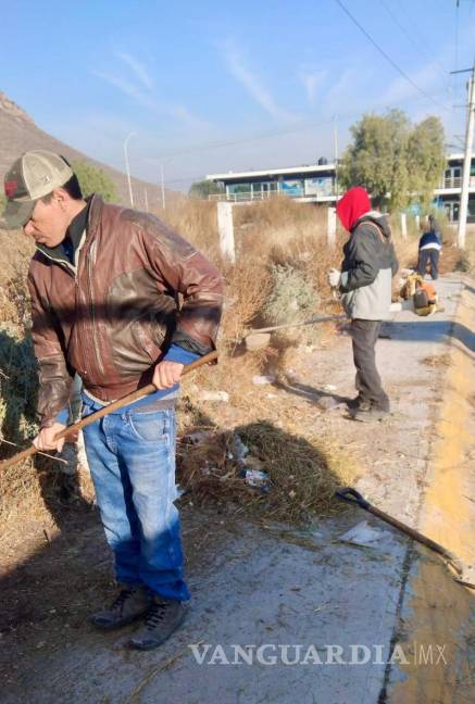 $!Desde temprana hora las brigadas iniciaron con el retiro de maleza de banquetas.