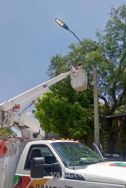 $!Personal de Alumbrado Público realizó la reconexión de líneas para solucionar fallas en diversas colonias de Ramos Arizpe.