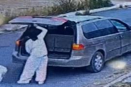 El video de una mujer abandonando un perrito en Paseo de Los Lobos al sur de Saltillo desató una alerta; ciudadanos buscan penas más severas para el maltrato animal.