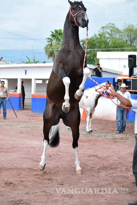 $!Anuncian actividades para la FeriAcero Monclova 2017