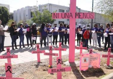 El grupo interinstitucional, coordinado por Tania Galicia Carmona, comenzará a trabajar en abril; el dictamen podría conocerse en mayo.