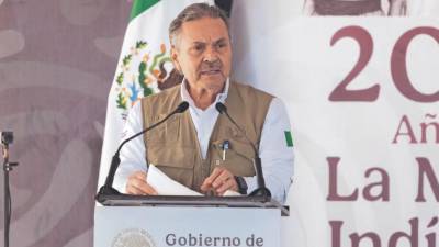 La declaración patrimonial del director del Infonavit, Octavio Romero Oropeza, no puede ser consultada en la plataforma Declaranet.