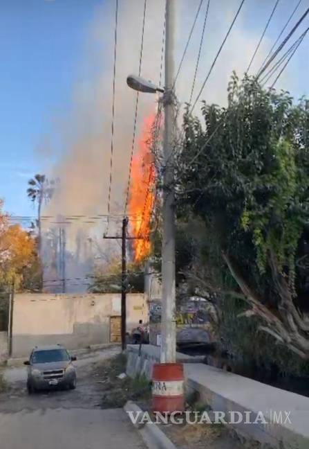 $!Las llamas consumieron varias palmas en Parras, mientras vecinos aseguraban ver la figura de San Judas Tadeo en el incendio.