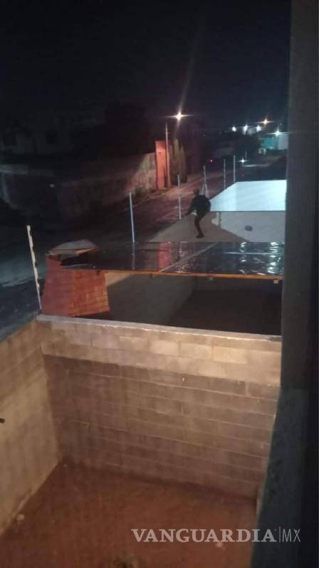 $!Se les ha visto brincar a las viviendas.
