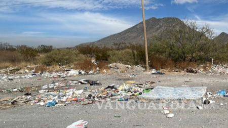 $!Las autoridades municipales y la Policía Ambiental realizarán rondines y patrullajes para disminuir estos casos.