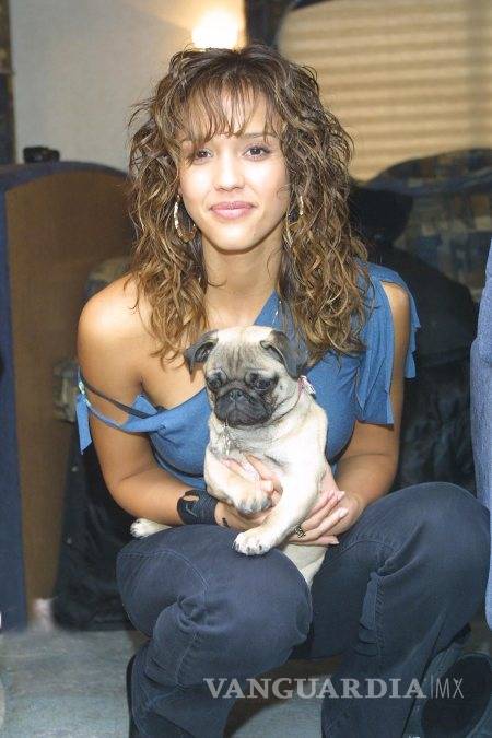 Jessica Alba anuncia que su perro pug falleció