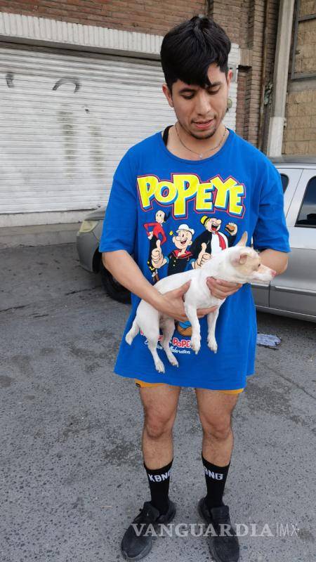 $!Luis Rodríguez hasta el momento tiene en resguardo al perrito rescatado