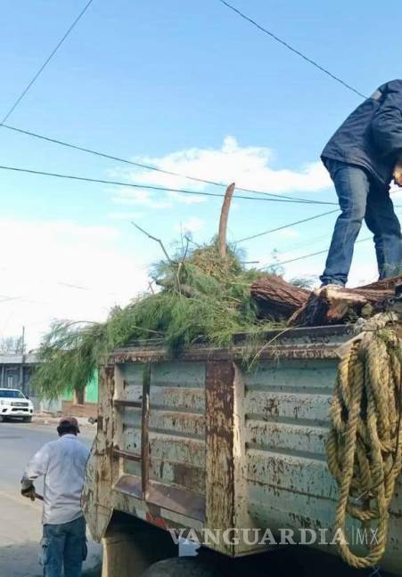 $!Se retiraron 338 toneladas de escombro y basura diversa de distintos puntos de la ciudad.