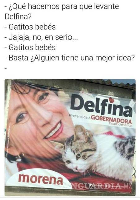 $!Campaña de Delfina Gómez se hace viral gracias a los gatitos