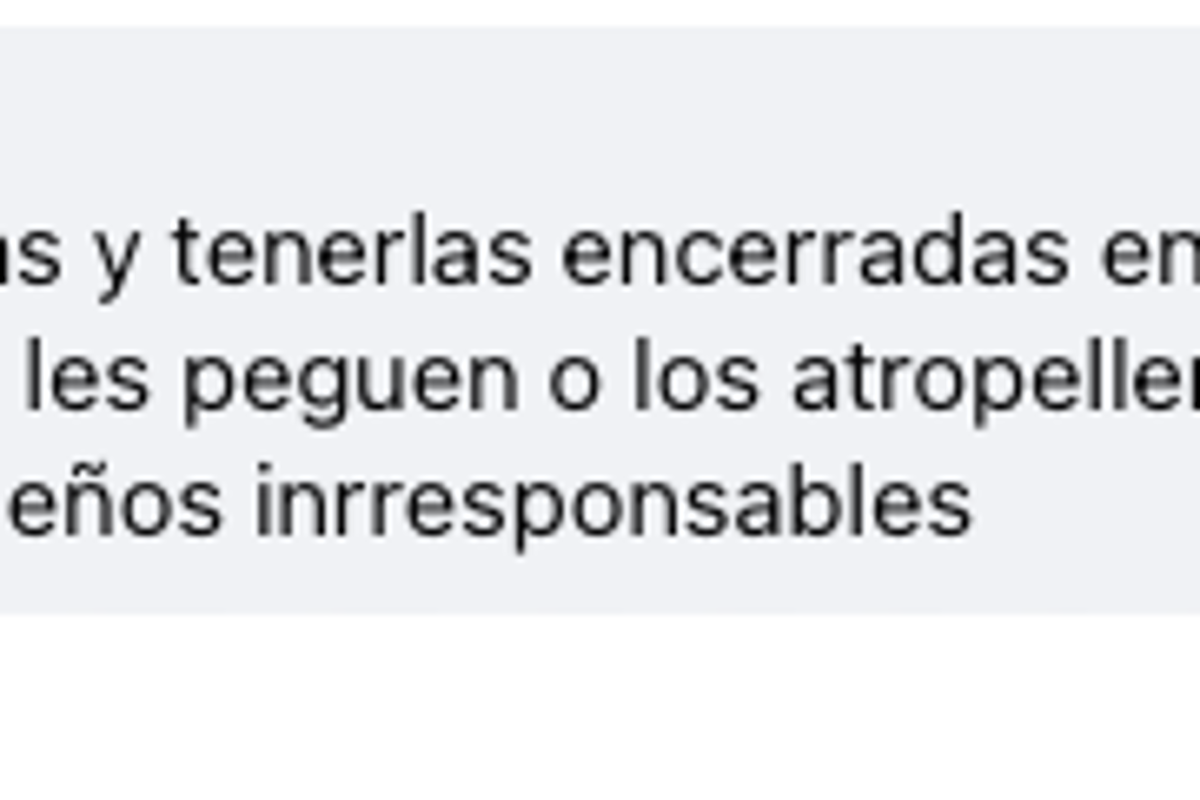 $!Tanya “N” opina sobre la responsabilidad de los dueños de mascotas y la necesidad de mantenerlos protegidos en casa para evitar ataques.