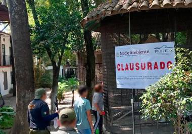 Reubica Profepa a 41 ejemplares que presentaban estrés y peso bajo, en Morelos.