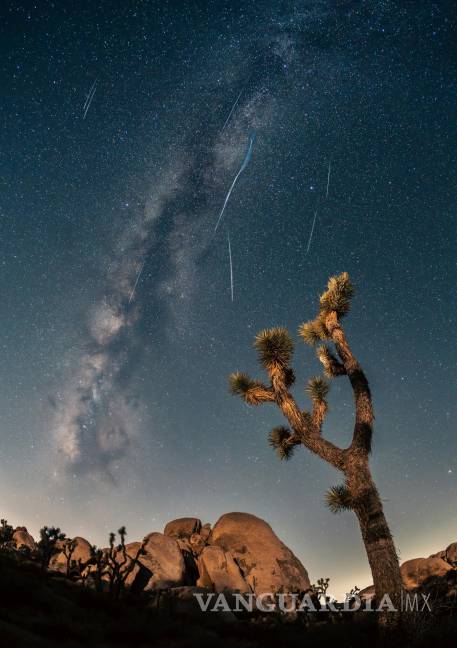 $!Lluvia de estrellas clausurarán julio; fecha y cómo ver la Delta Acuáridas