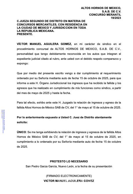 $!El informe del síndico detalla que 64 millones de pesos provinieron de fuentes secundarias, no de producción de acero.