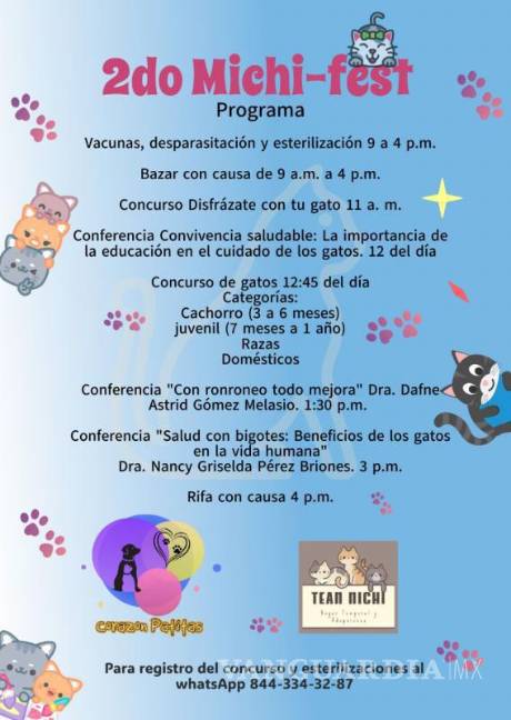 $!Voluntarios y rescatistas preparan un altar para recordar a las mascotas fallecidas durante la jornada felina.