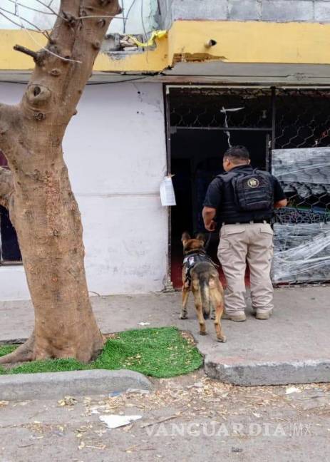 Cateos en Nuevo León por delitos contra la salud arrojan cuatro detenidos