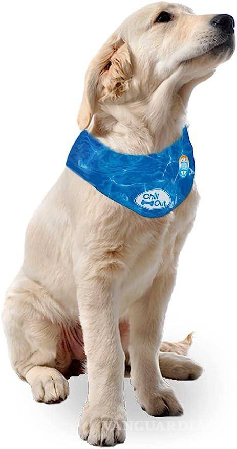 $!Bandana refrescante para perro que se congela.