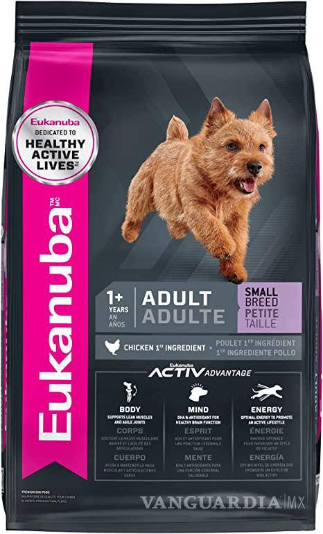 $!¿Pro Plan, Campeón o Dog Chow?... según Profeco, estas son las peores marcas de croquetas y las más dañinas para tu perro