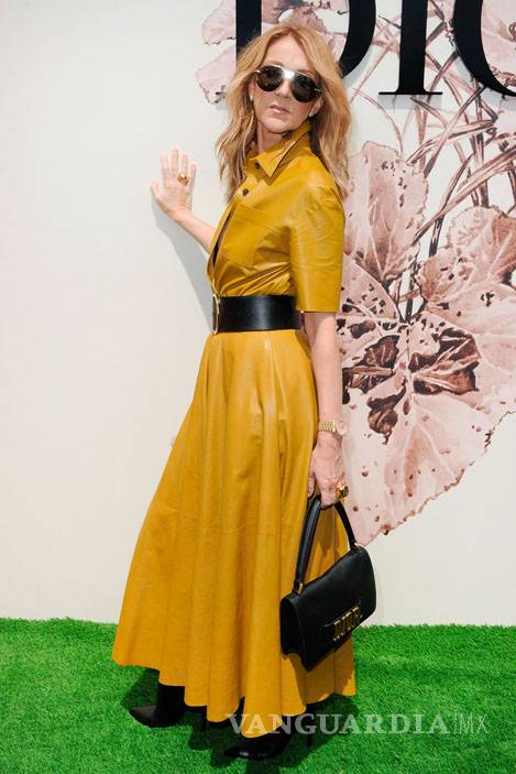 $!Celine Dion: Once poses que la coronan como icono de estilo