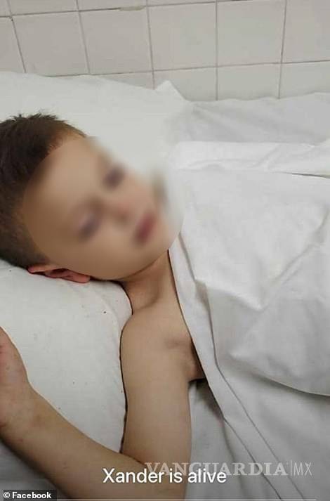 $!Ellos son los niños que sobrevivieron a la masacre de la familia LeBarón (fotos)