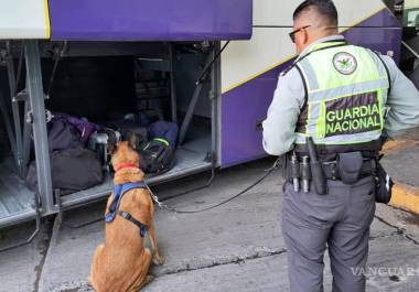 En un autobús de pasajeros fue encontrada una maleta con las pastillas de fentanilo.