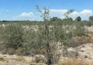 Gobierno de México expropia 14 hectáreas en Coahuila para regularizar asentamientos y entregar certeza jurídica a sus habitantes.