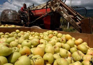 La falta de “horas frío”, que se ha registrado a la mitad de lo requerido, encarecerá la producción de manzana con el uso de químicos.