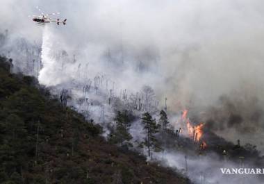 La Conafor advirtió de 10 municipios con zonas forestales que están en riesgo de incendio.