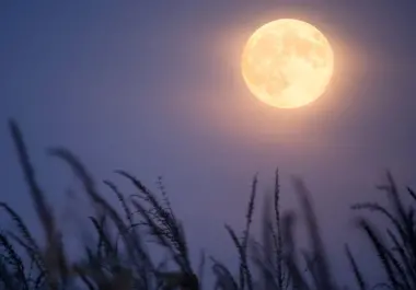La Luna llena de Cosecha iluminará el cielo de México durante la noche de este sábado 26 de septiembre.