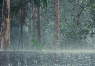 El frente frío 24 ingresará a Baja California este 26 de diciembre y, junto con un río atmosférico y la corriente en chorro polar, provocará descenso de temperatura, lluvias fuertes y probabilidad de nieve o aguanieve en sierras de Baja California, Sonora y Chihuahua
