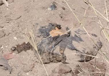 Encuentran bolsas de basura con restos humanos en predio de Jalisco